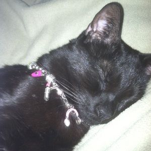 Meet your Posher, Tricia